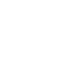 Icon Weyland
