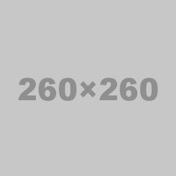 Testbild260x260